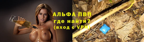 спиды Ладушкин