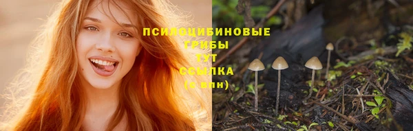 МДМА Лабытнанги
