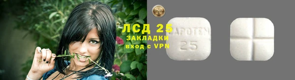 спиды Ладушкин
