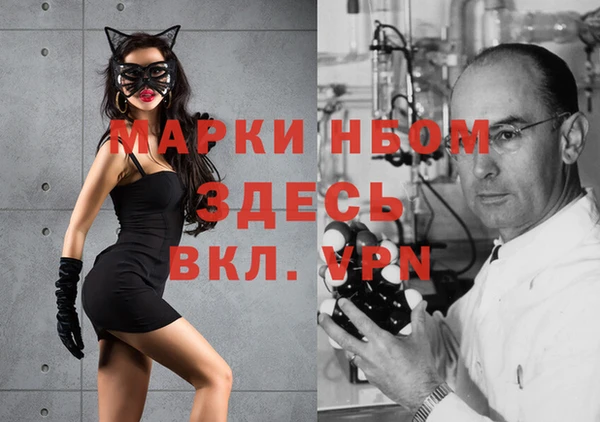 спиды Ладушкин