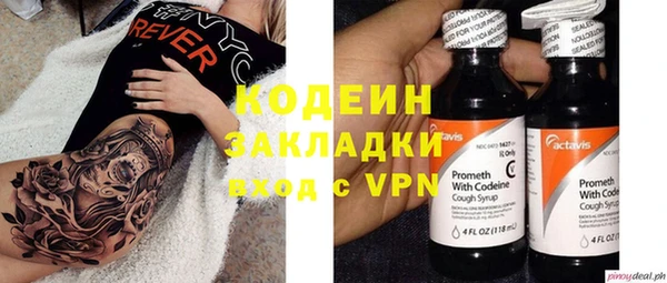 спиды Ладушкин
