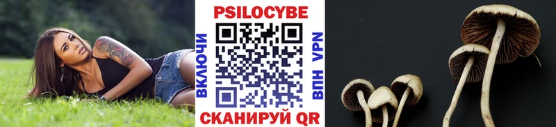 OMG зеркало  Лосино-Петровский  Псилоцибиновые грибы MAGIC MUSHROOMS 